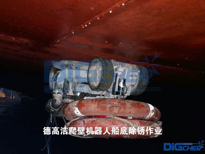 �¸ߝ����ڙC(j��)���˴��׳��P���I(y��)